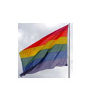 CSD und Adoptionsrechte für gleichgeschlechtliche Paare